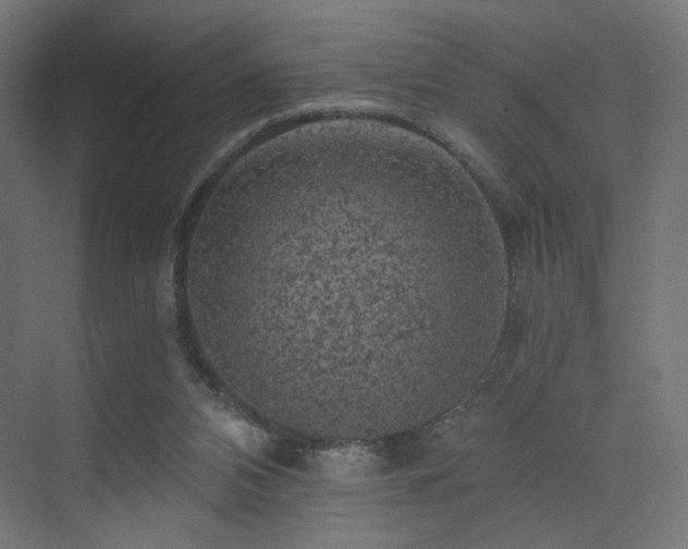 X0000072960112200607211207