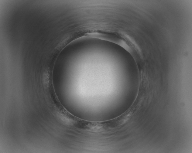 X0000072960113200607211207