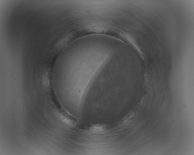 X0000072960114200607211207