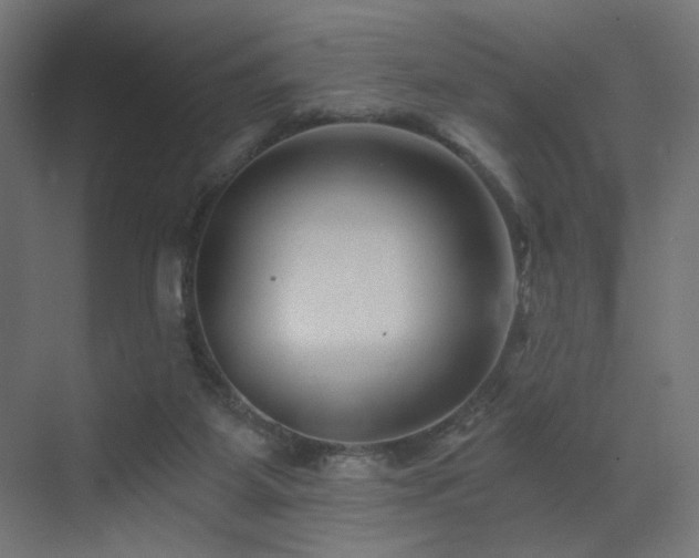 X0000072960115200607211207