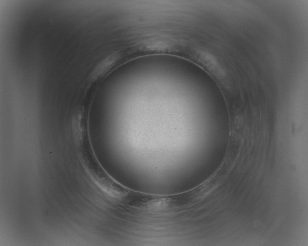 X0000072960116200607211207