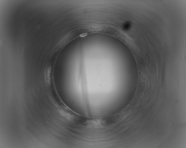 X0000072960118200607211207