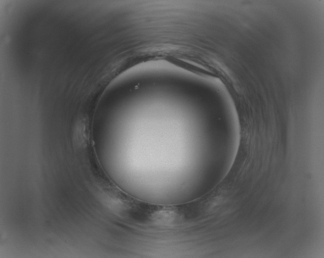 X0000072960119200607211207