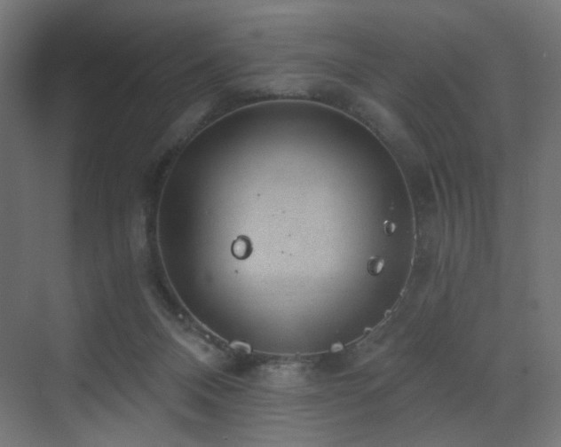 X0000072960120200607211207