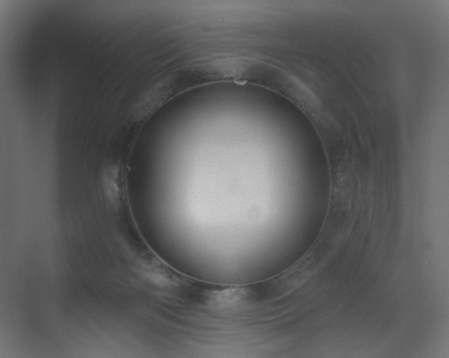 X0000072960122200607211207