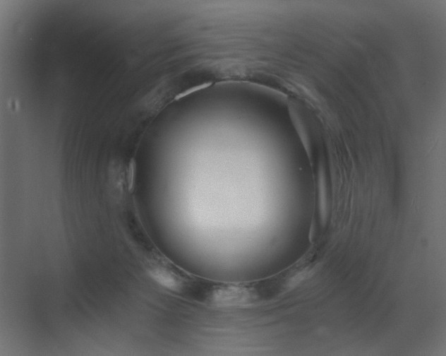 X0000072960125200607211207