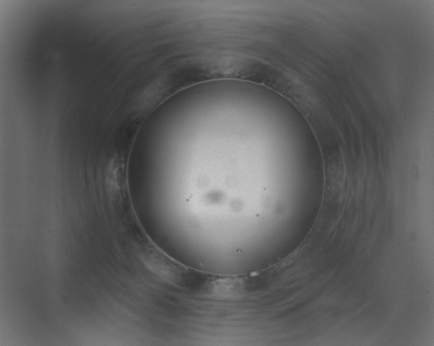 X0000072960126200607211207