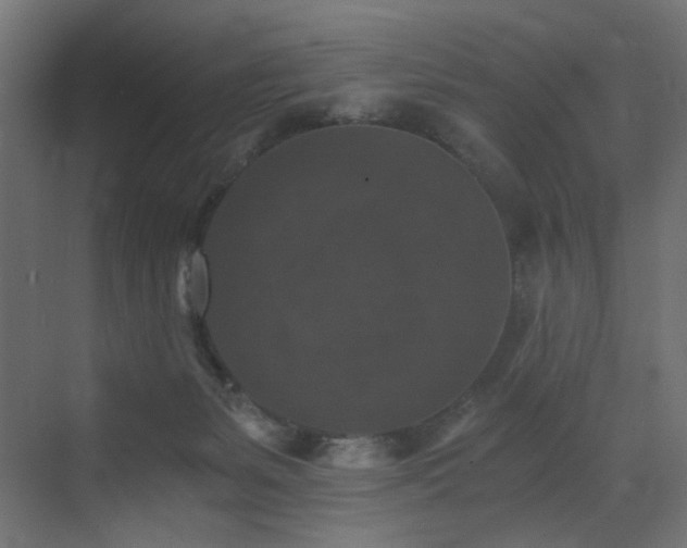 X0000072960127200607211207