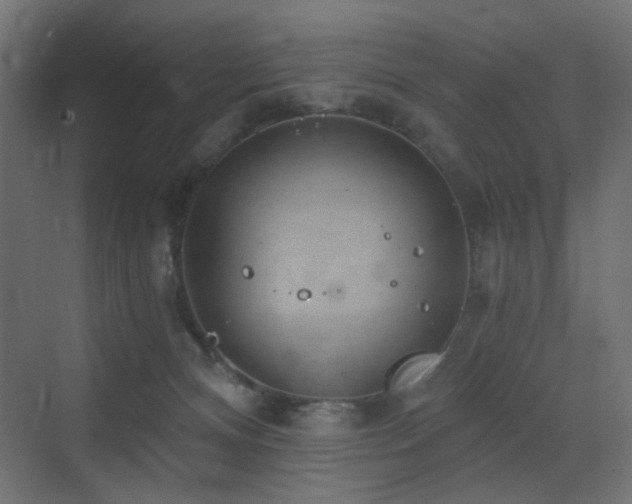 X0000072960128200607211207