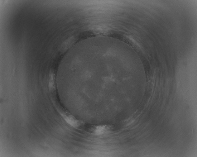 X0000072960130200607211207