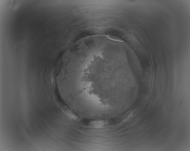 X0000072960131200607211207