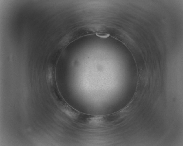 X0000072960132200607211207