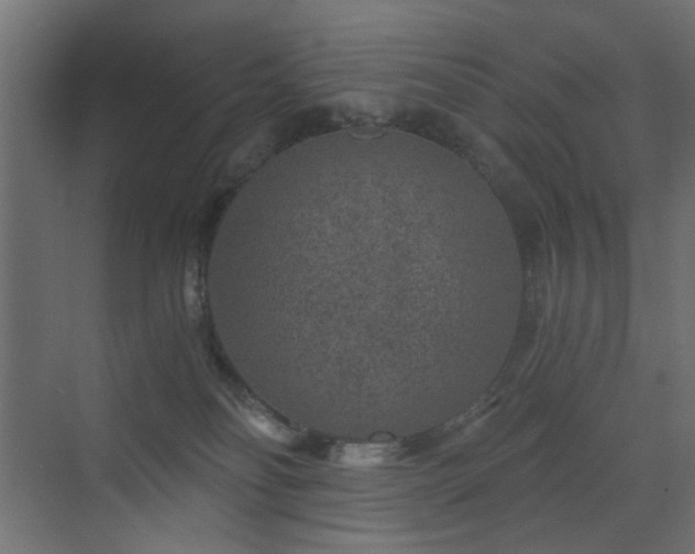 X0000072960134200607211207