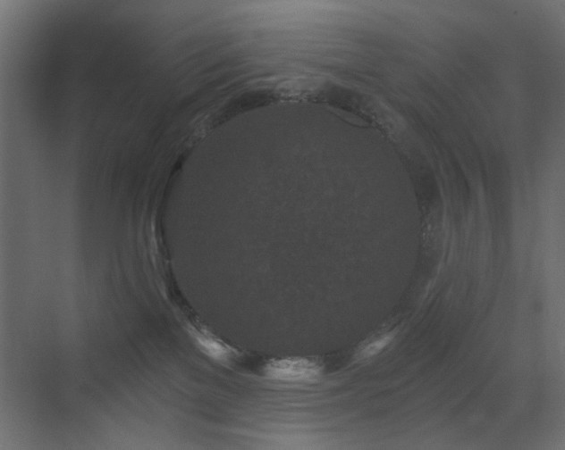 X0000072960137200607211207