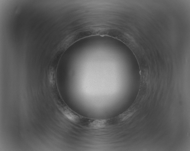 X0000072960138200607211207