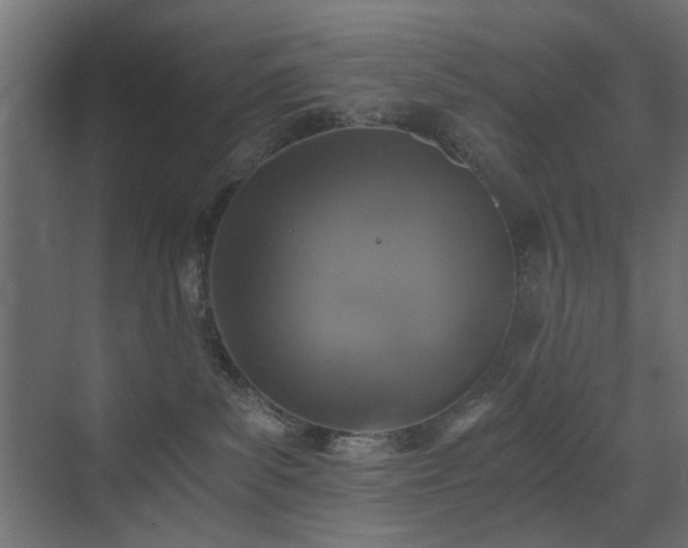 X0000072960139200607211207