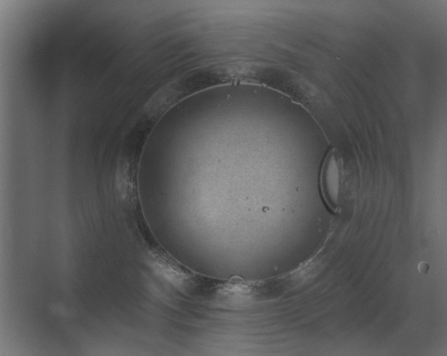 X0000072960140200607211207