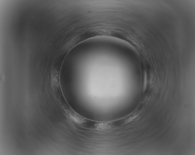 X0000072960141200607211207