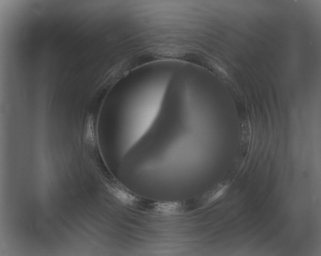 X0000072960143200607211207