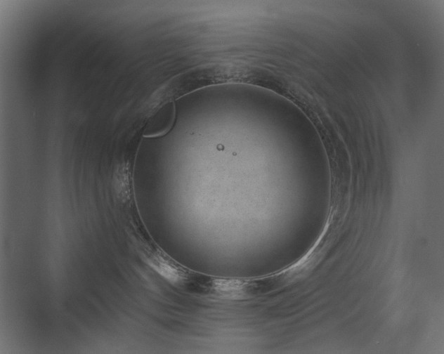 X0000072960144200607211207