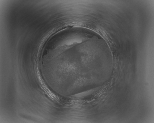 X0000072960145200607211206