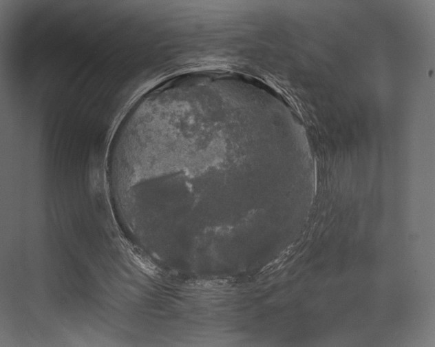 X0000072960147200607211206