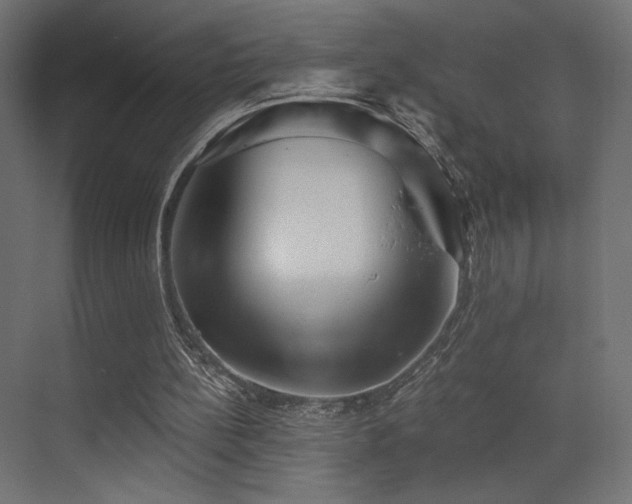 X0000072960148200607211206