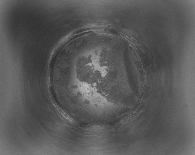 X0000072960149200607211206