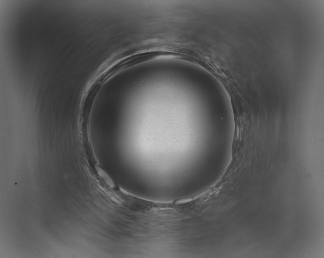 X0000072960150200607211206