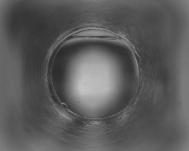 X0000072960151200607211206