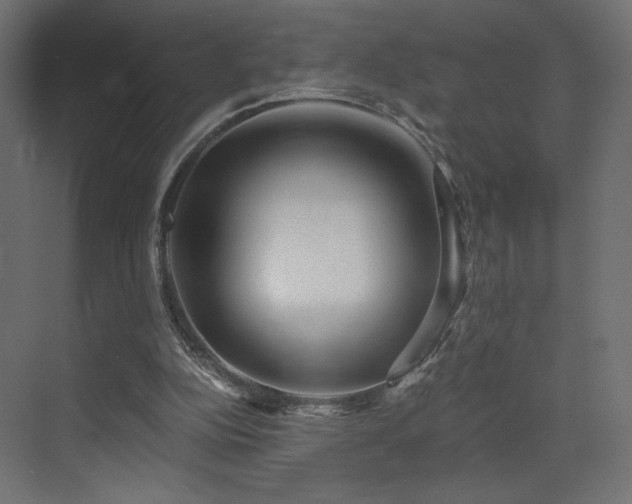 X0000072960152200607211206