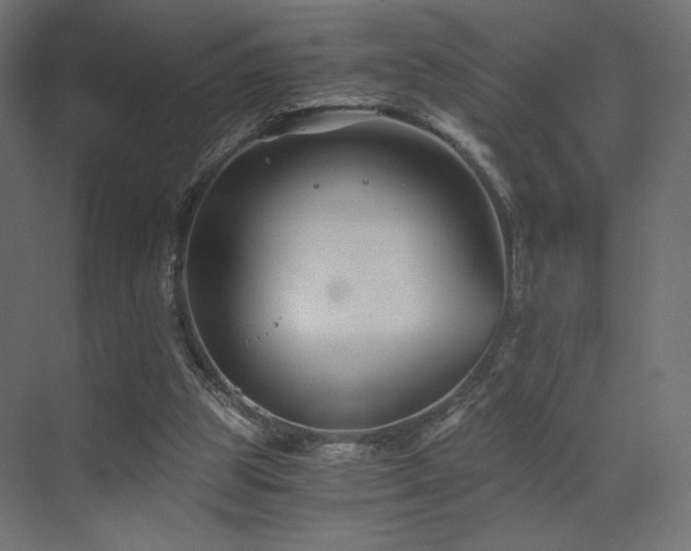 X0000072960153200607211206