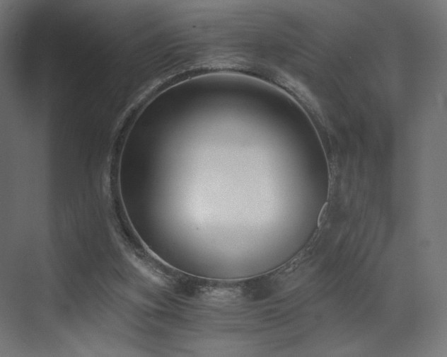 X0000072960155200607211206