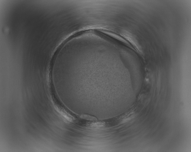 X0000072960156200607211206