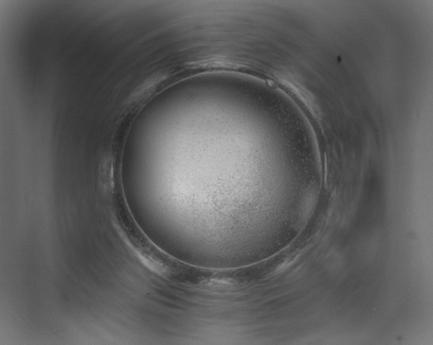 X0000072960157200607211206