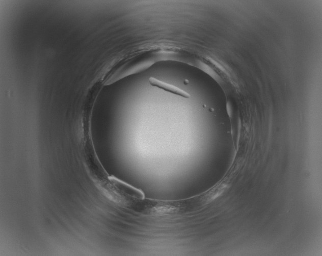 X0000072960158200607211206