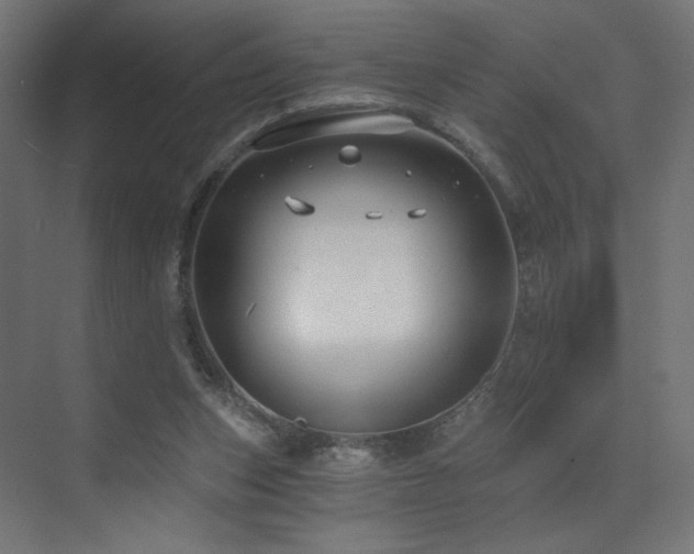 X0000072960159200607211206