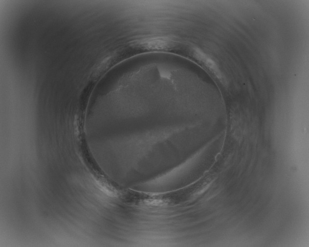 X0000072960161200607211206