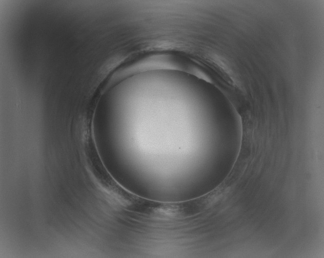 X0000072960164200607211206