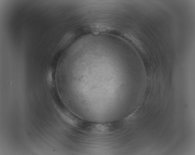 X0000072960166200607211206