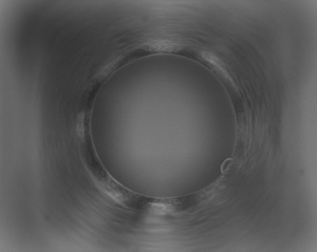 X0000072960167200607211206