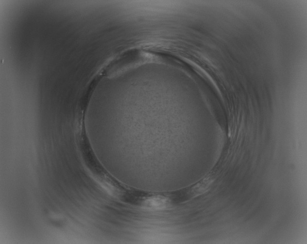 X0000072960168200607211206