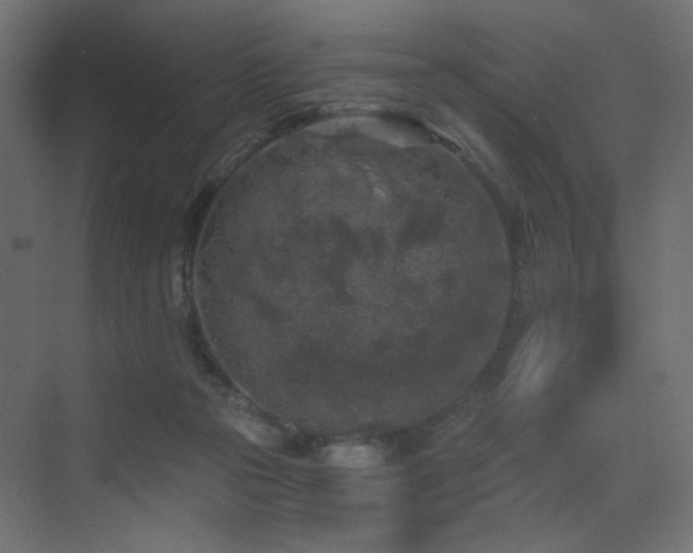 X0000072960169200607211206