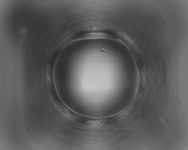 X0000072960170200607211206