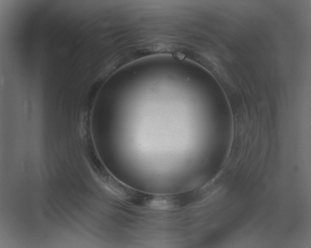 X0000072960171200607211206