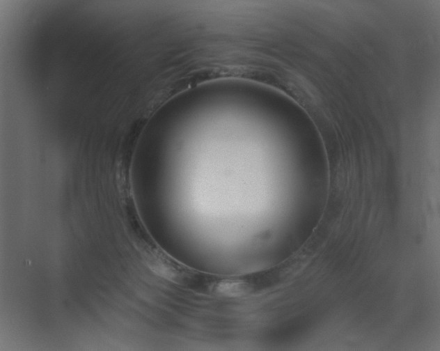 X0000072960173200607211207