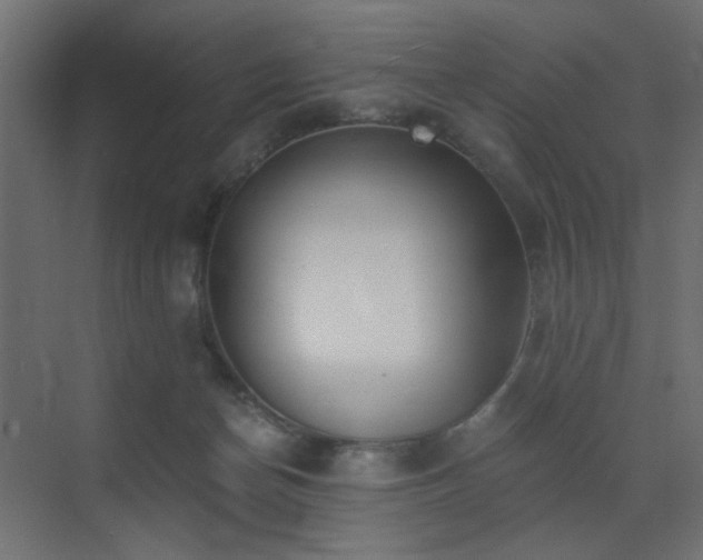 X0000072960174200607211207