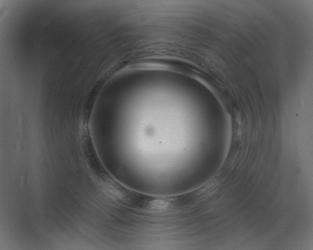 X0000072960176200607211207