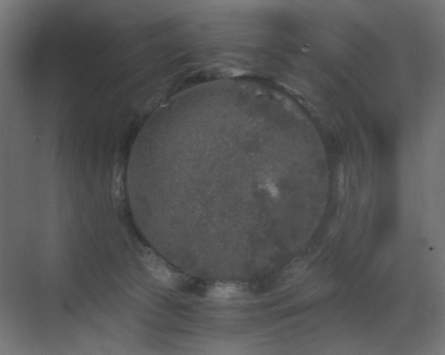 X0000072960177200607211207