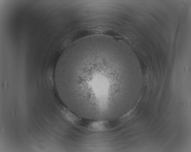 X0000072960178200607211207